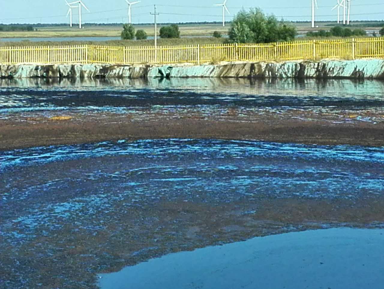 必发集团app下载安装